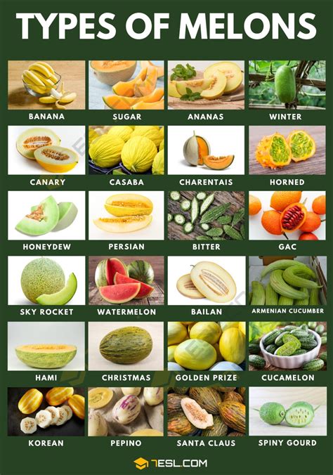 melonstu|16 Types Of Melons, Explained